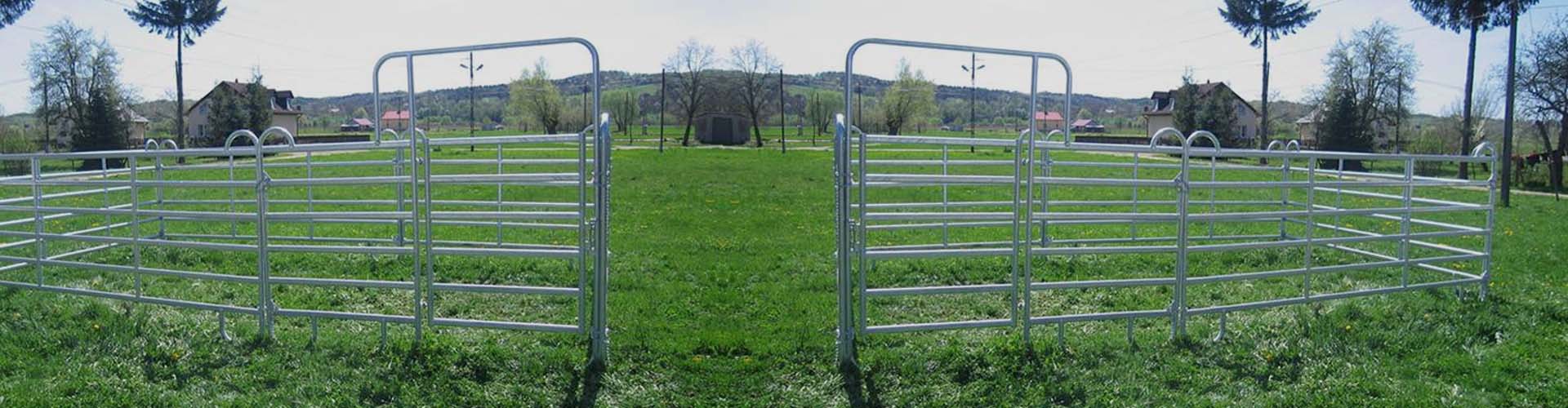 Horse Fence
