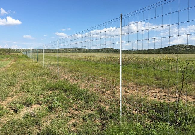 Fixed Knot Fence