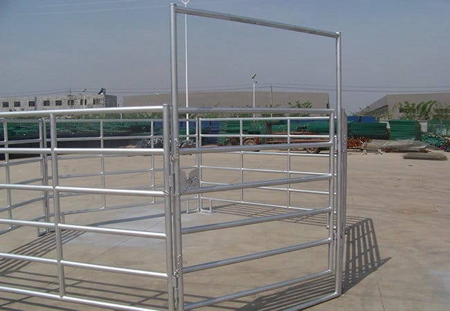 Round Pipe Horse Fence