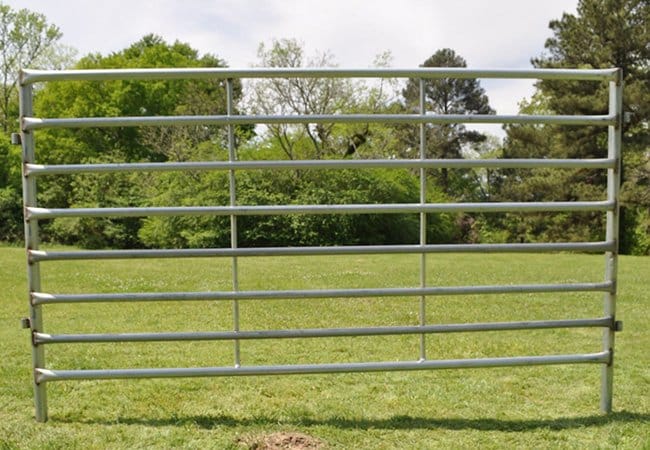 Oval Pipe Horse Fence