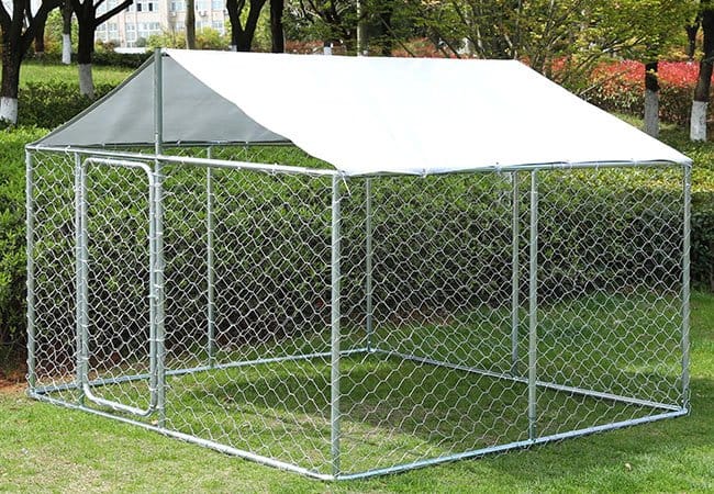 Dog Kennel1