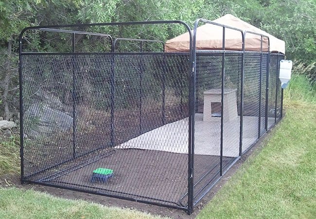 Dog Kennel2